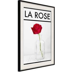 Arkiio Affisch La Rose [Poster] 30x45 Poster